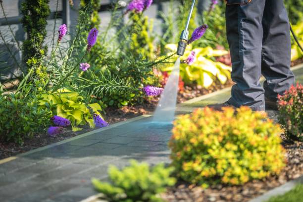 Best Dumpster Area Cleaning  in Short Hills, NJ